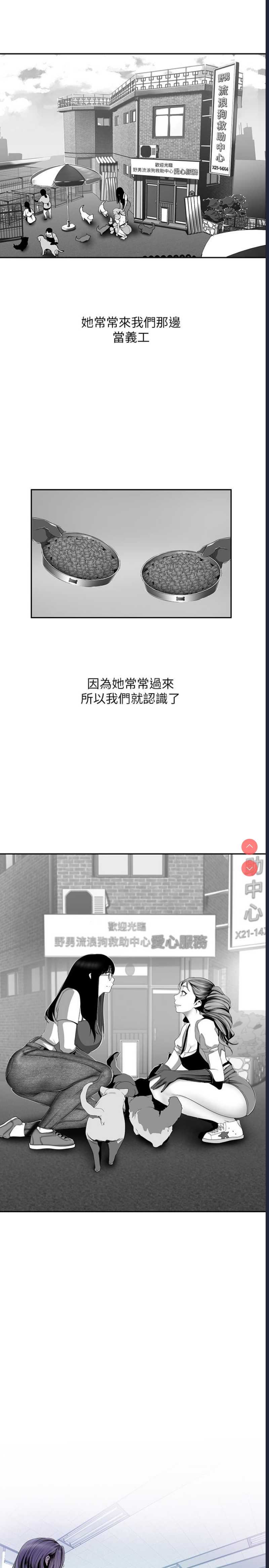 美丽新世界