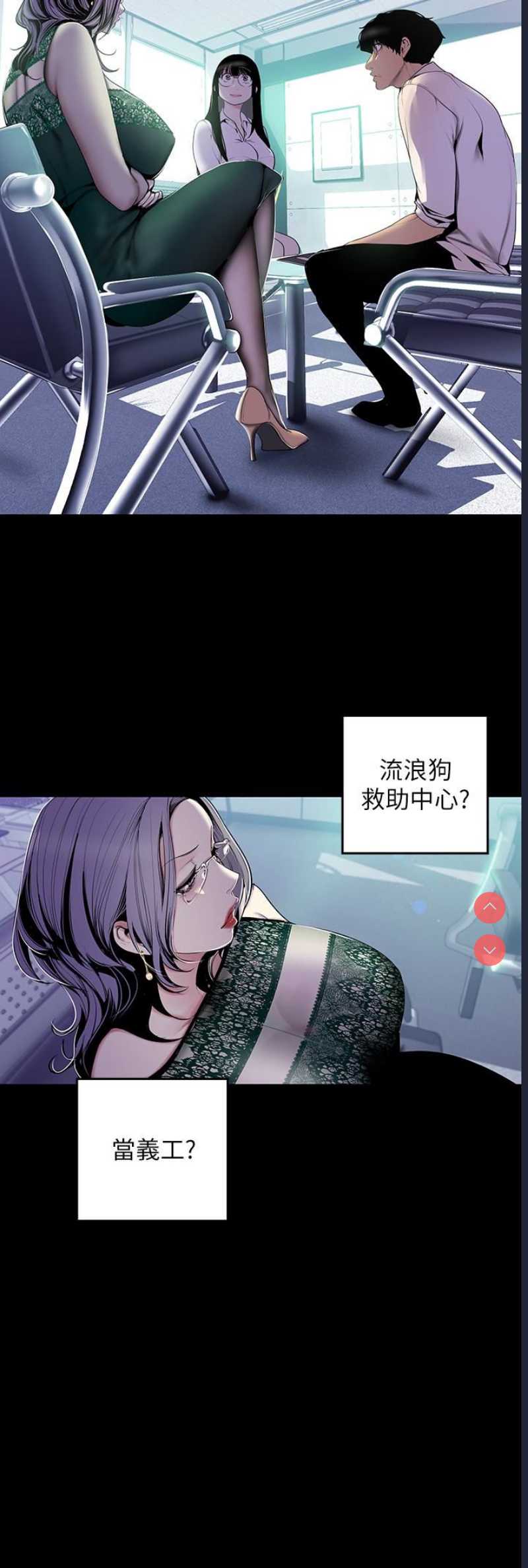 美丽新世界