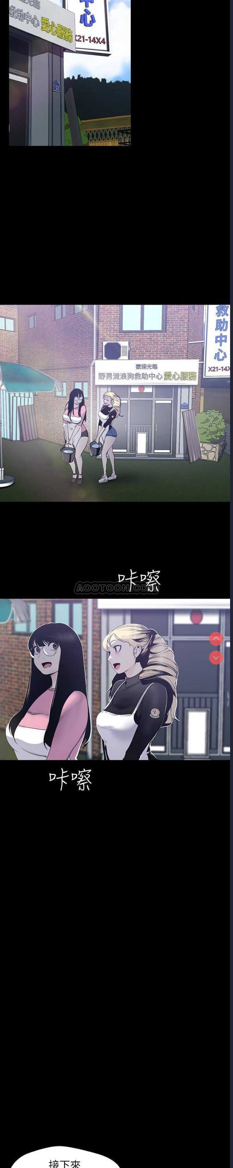 美丽新世界