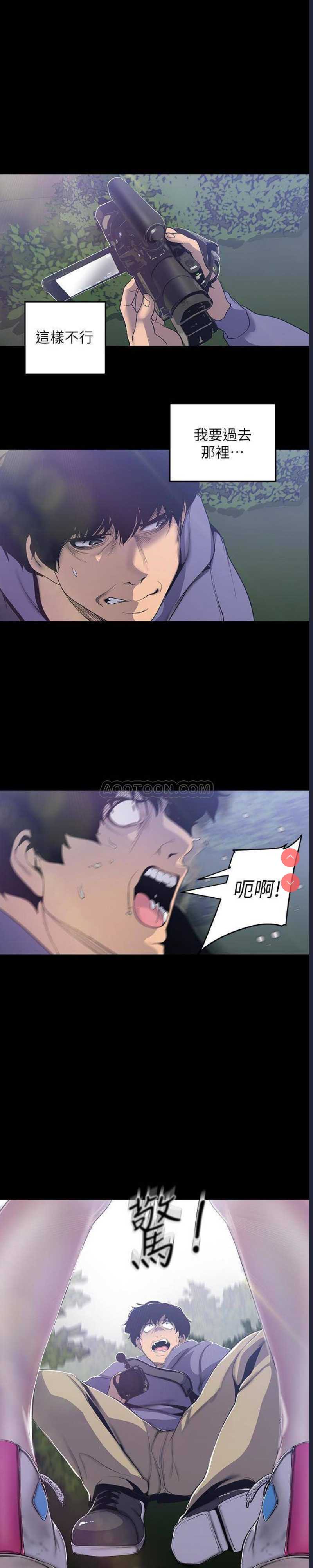 美丽新世界