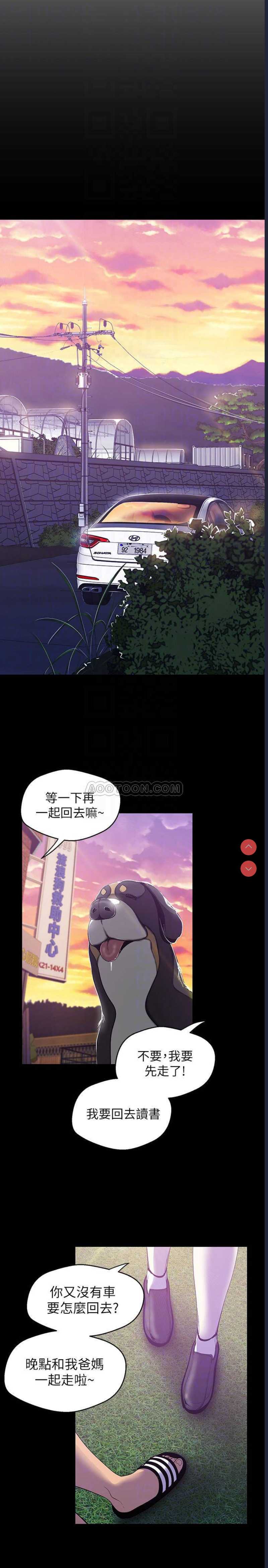 美丽新世界