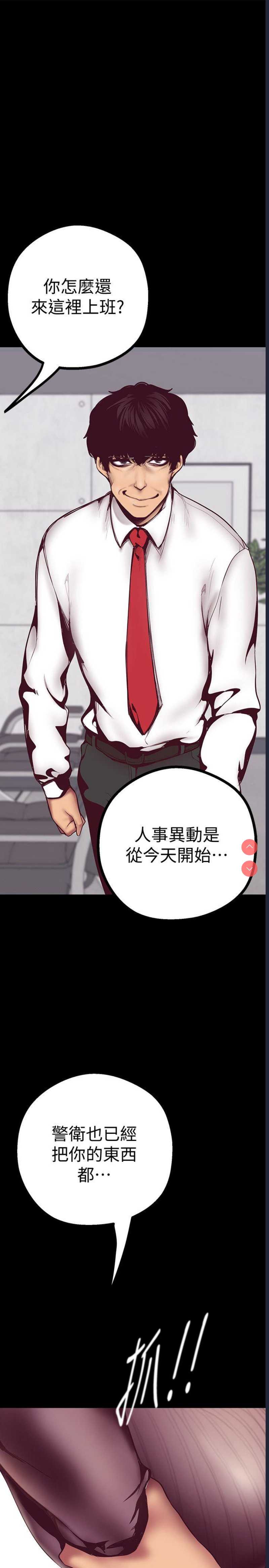 美丽新世界