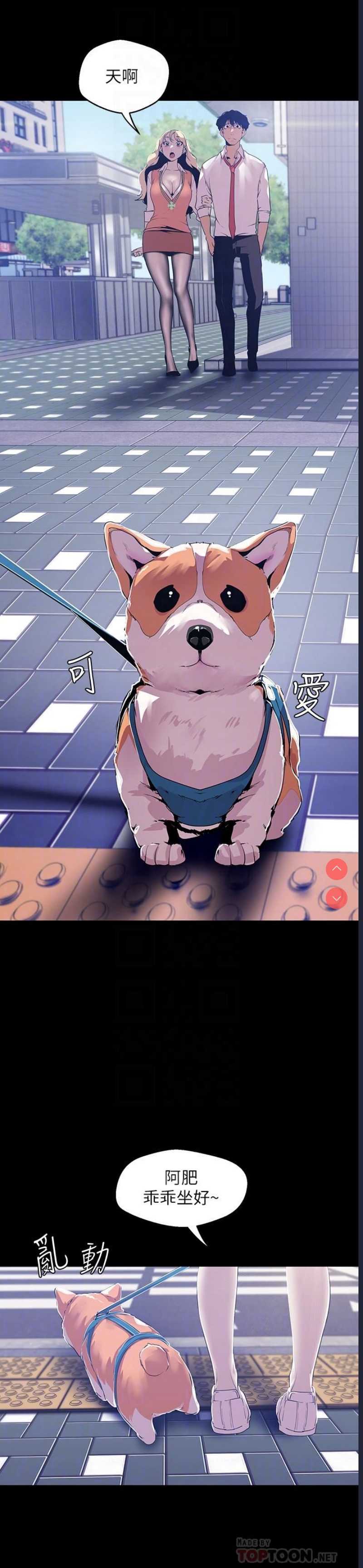 美丽新世界