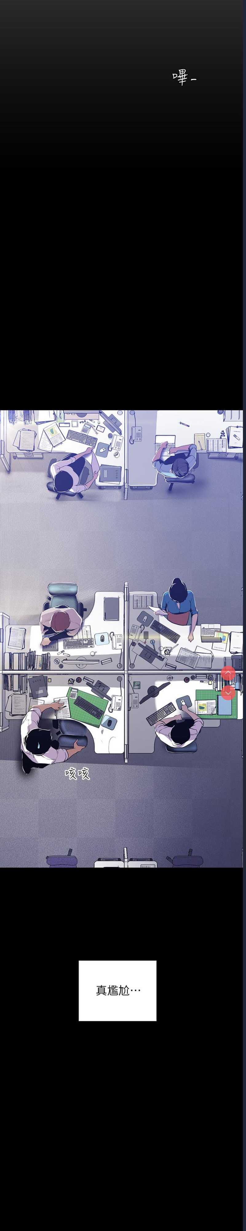 美丽新世界