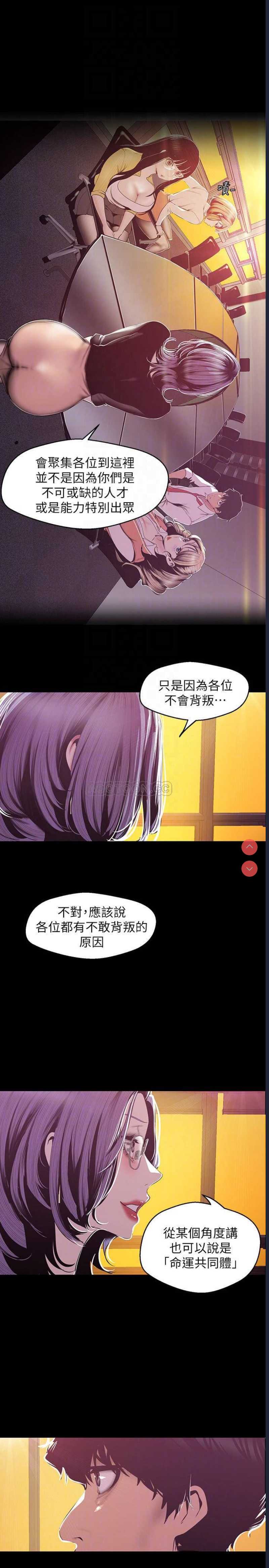 美丽新世界