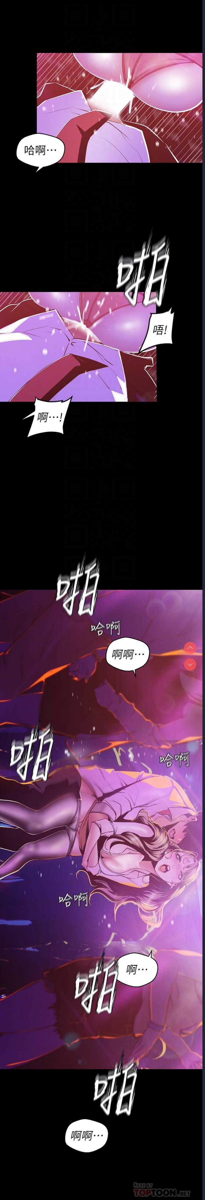 美丽新世界
