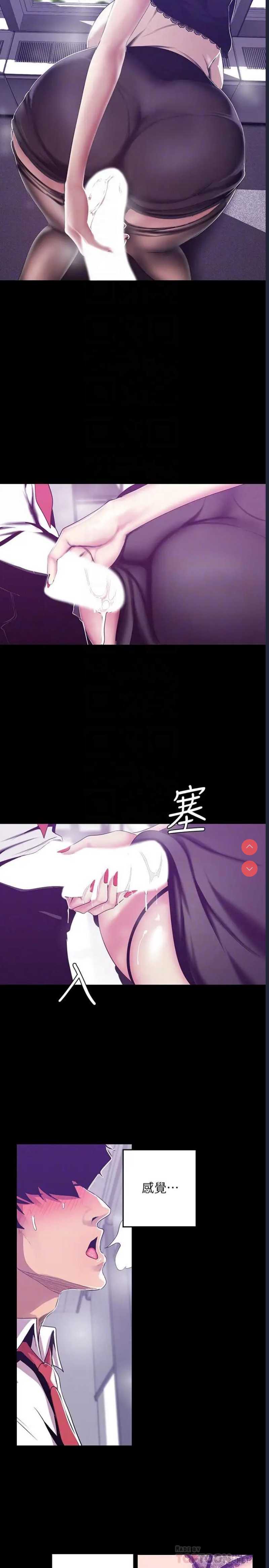 美丽新世界