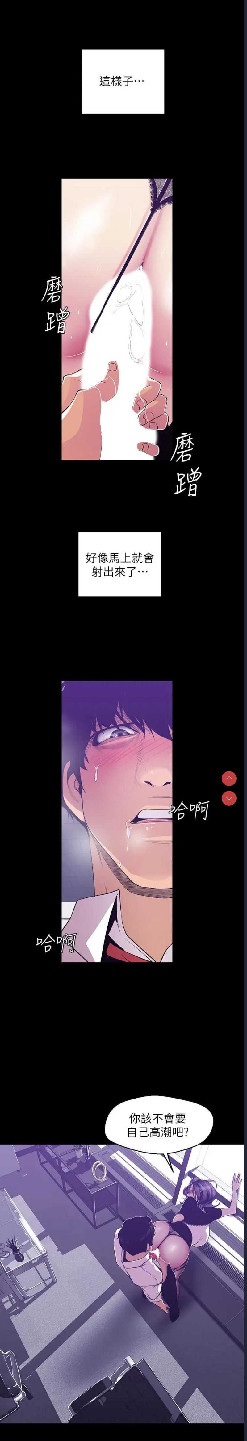 美丽新世界