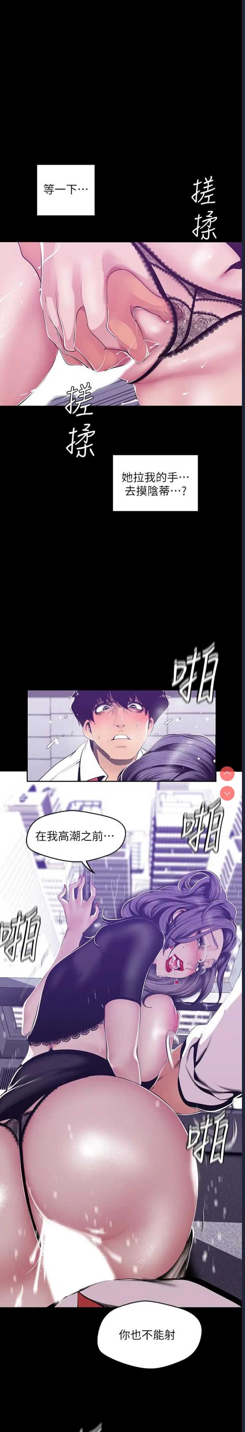美丽新世界