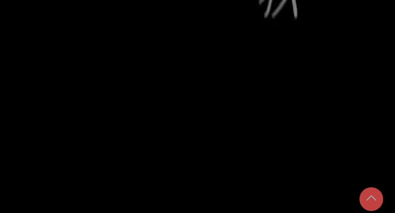 美丽新世界