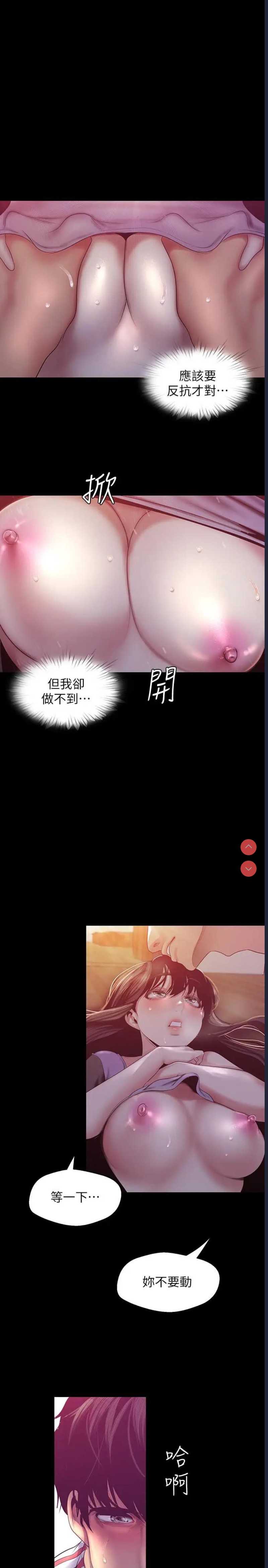 美丽新世界