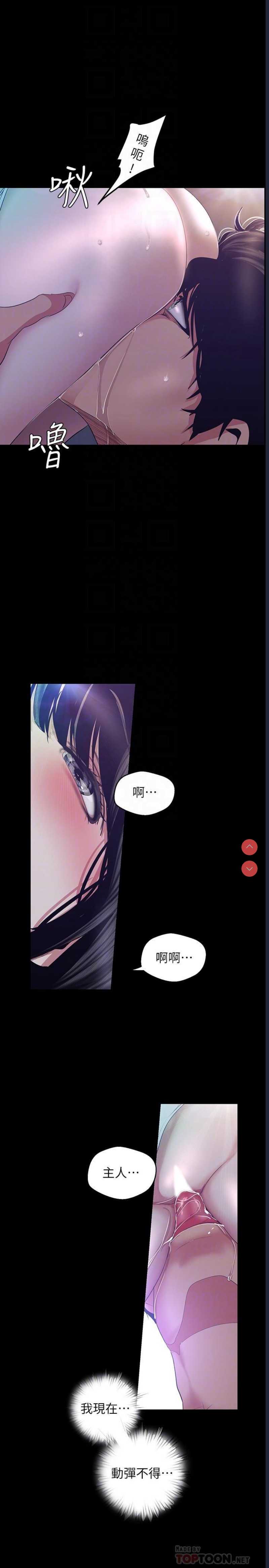 美丽新世界