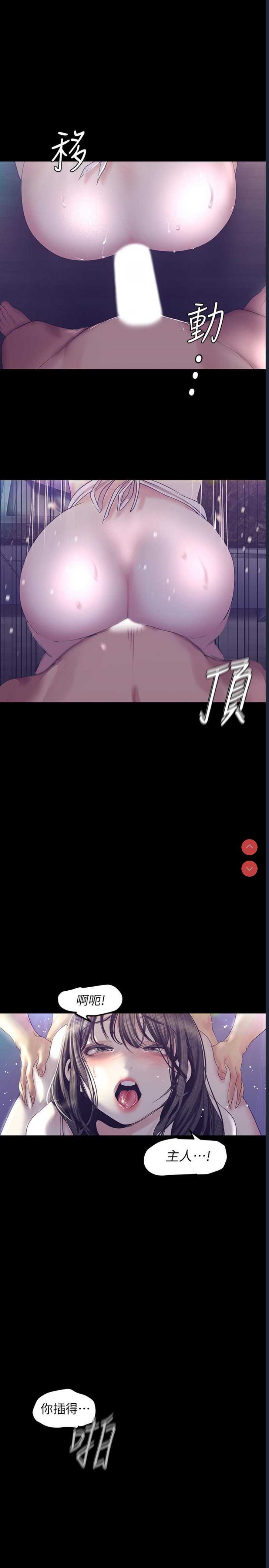 美丽新世界