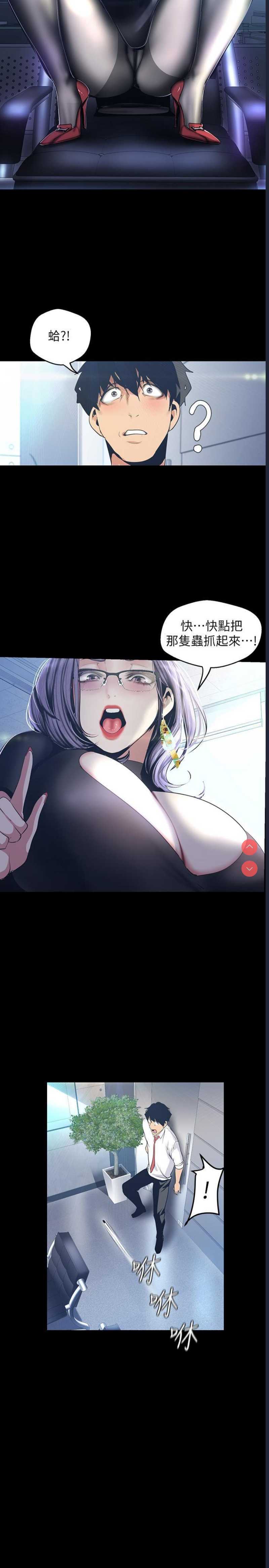 美丽新世界