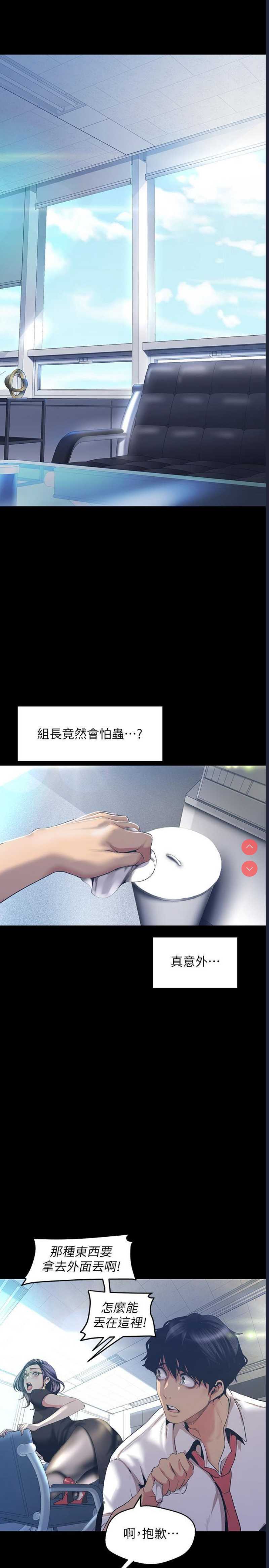 美丽新世界
