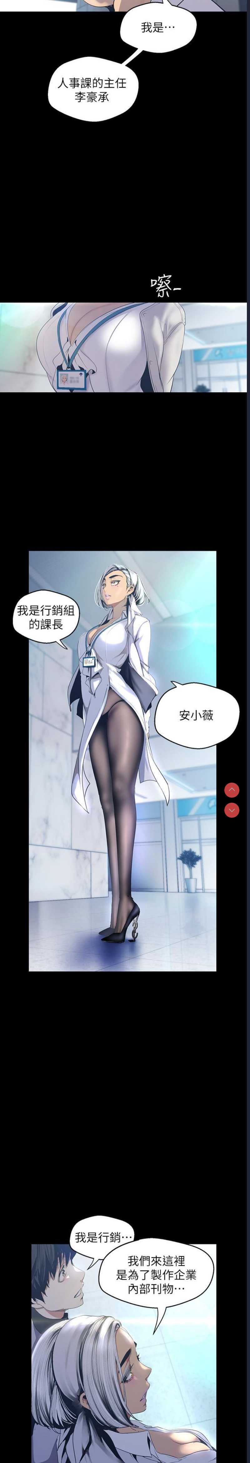 美丽新世界