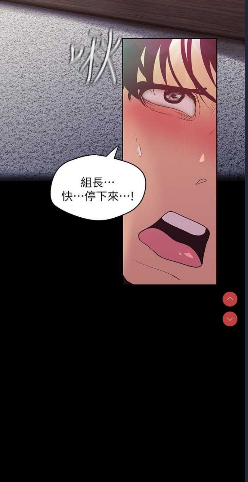 美丽新世界
