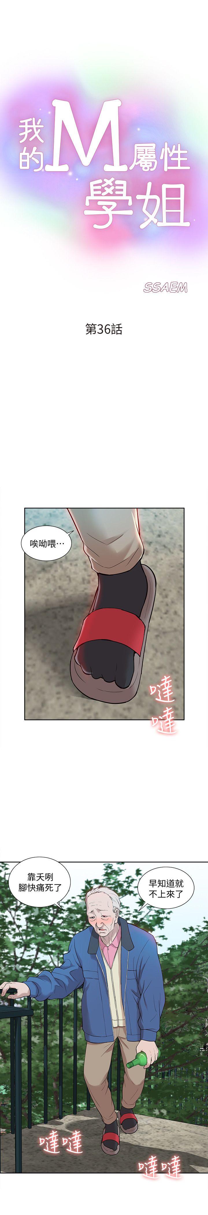 我的M属性学姐