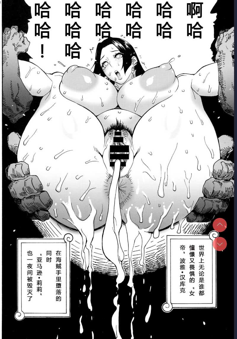 (C92) [Kocho Kocho Koukou (Bonten)] P.O.M Amazon lily last day (One Piece)