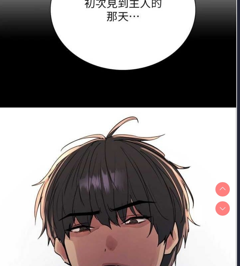 色轮眼