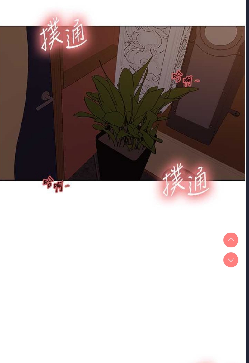 色轮眼