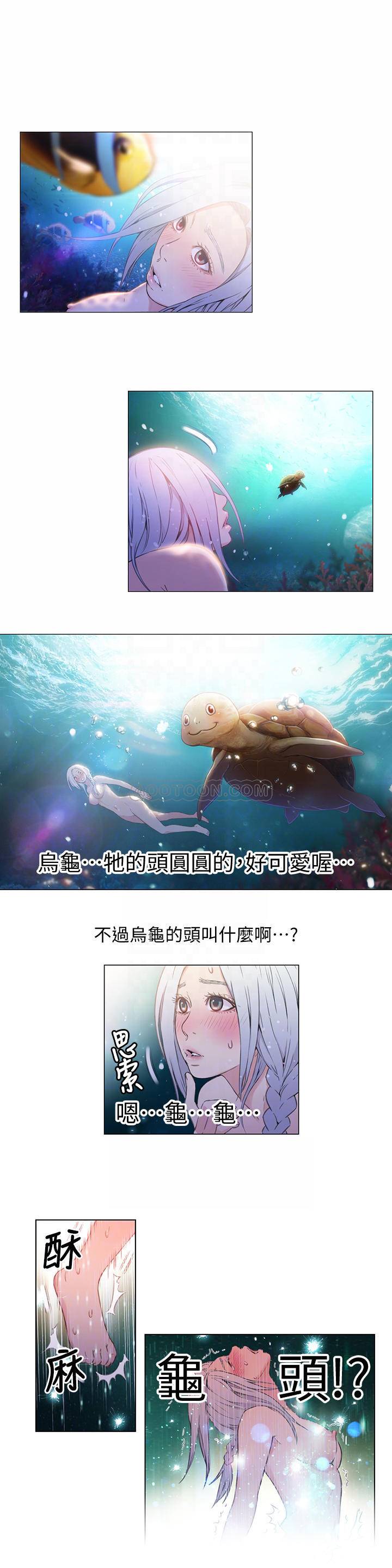 超导体鲁蛇
