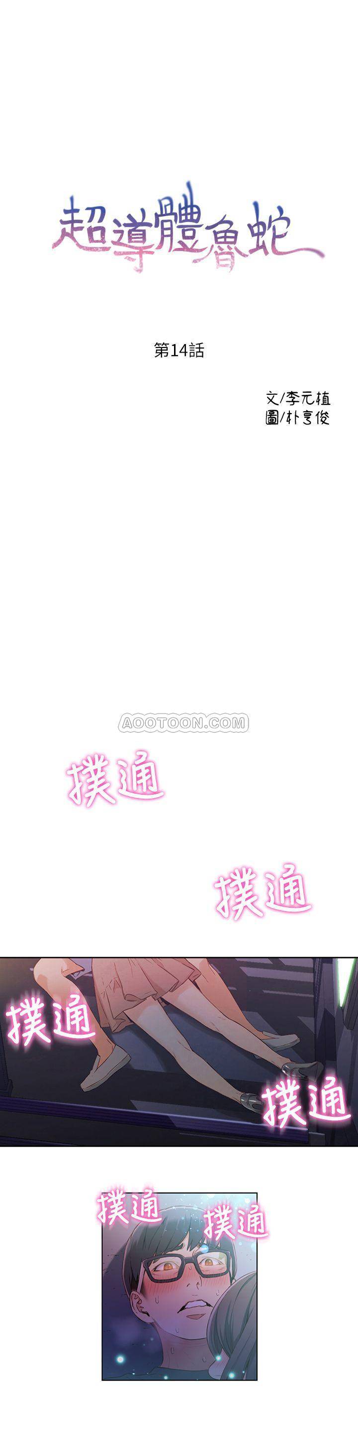 超导体鲁蛇