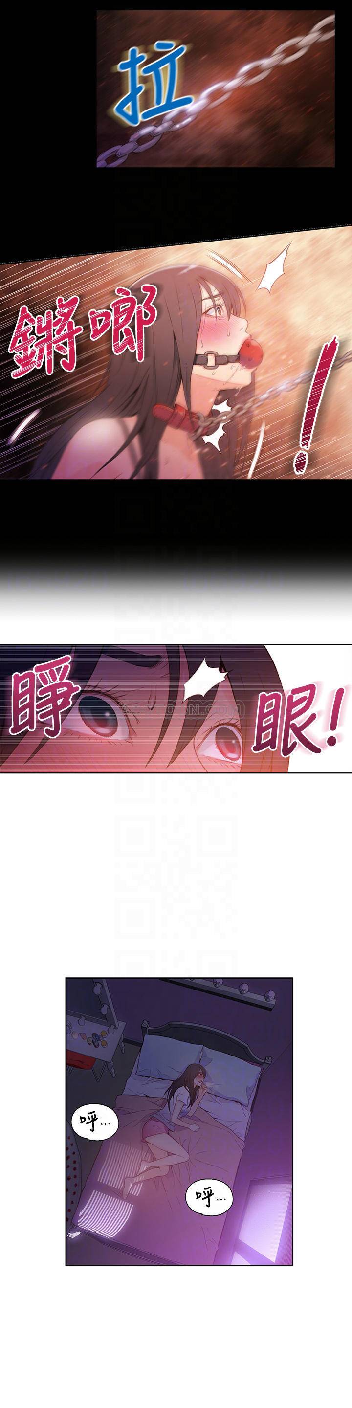 超导体鲁蛇