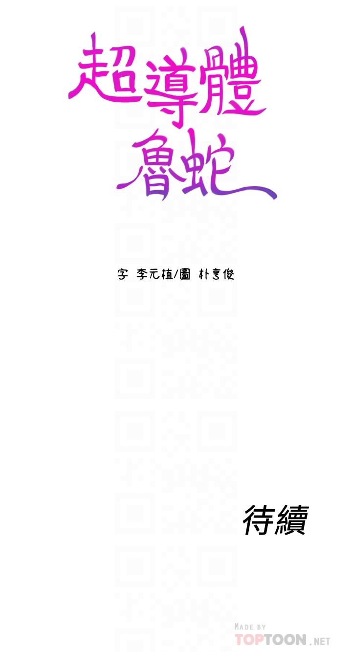超导体鲁蛇