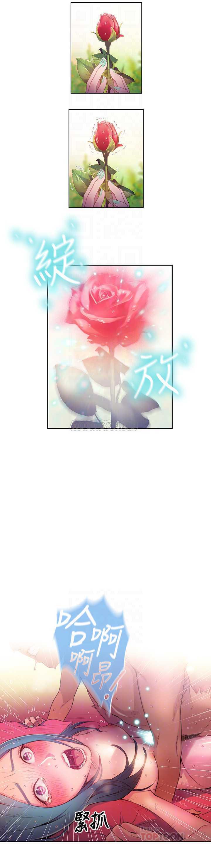 超导体鲁蛇