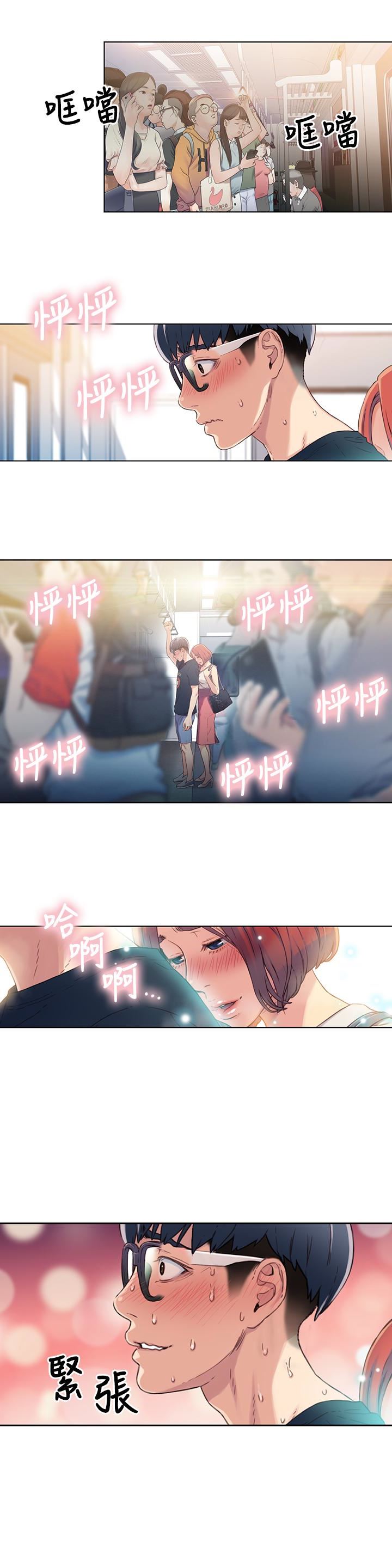 超导体鲁蛇