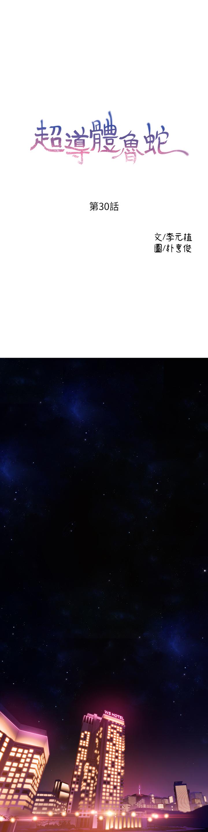 超导体鲁蛇