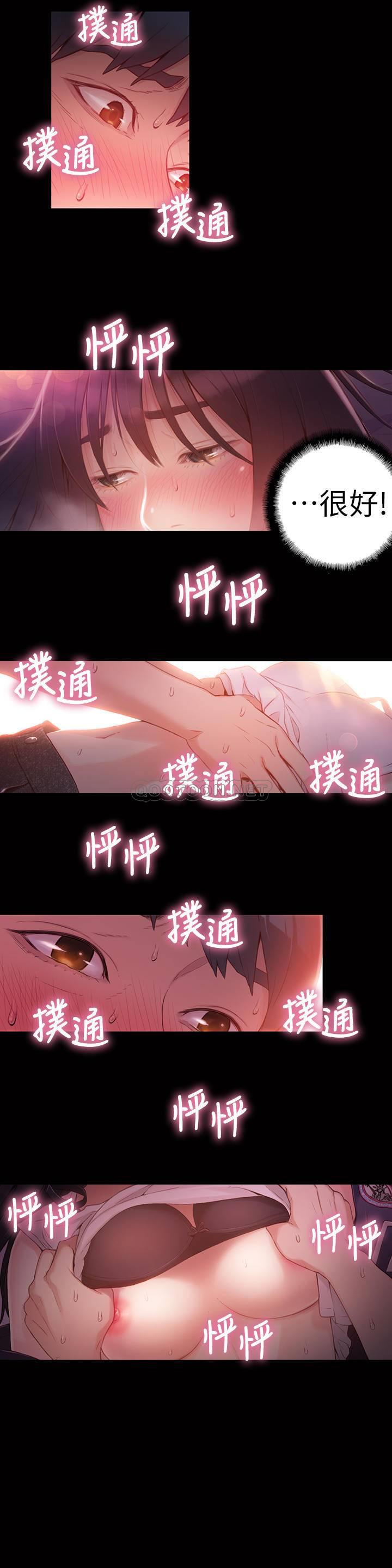 超导体鲁蛇