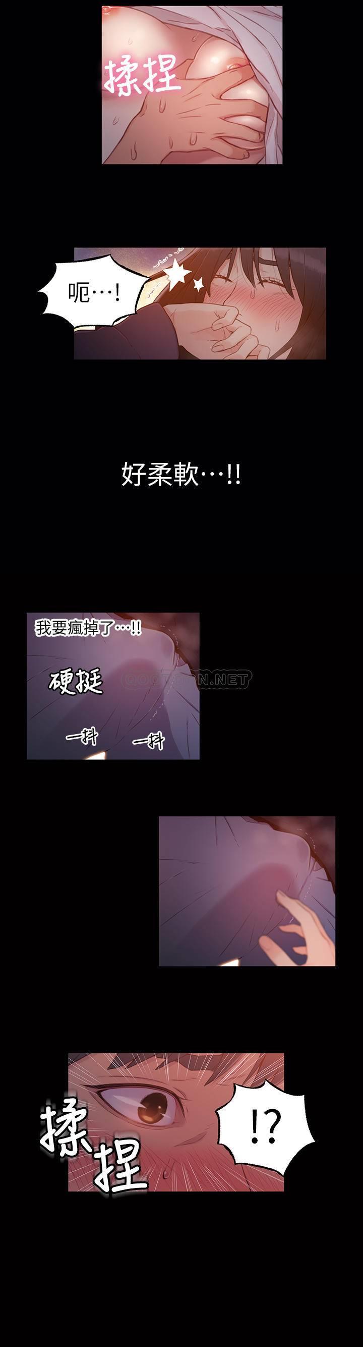超导体鲁蛇