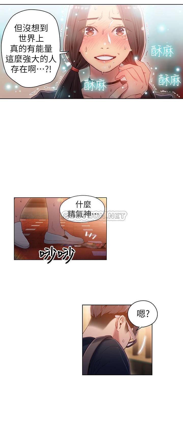 超导体鲁蛇