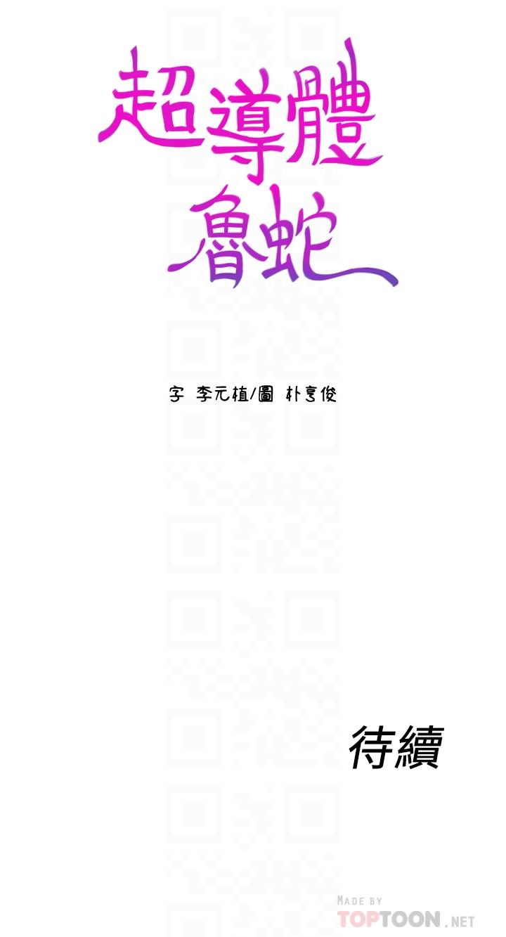超导体鲁蛇