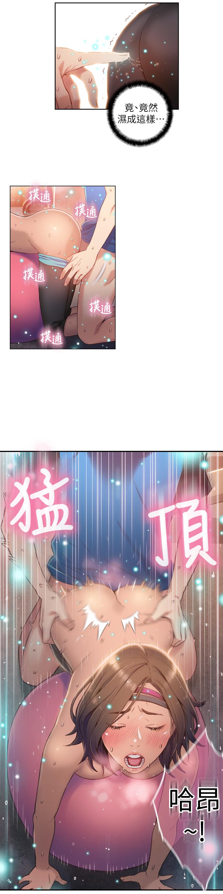 超导体鲁蛇