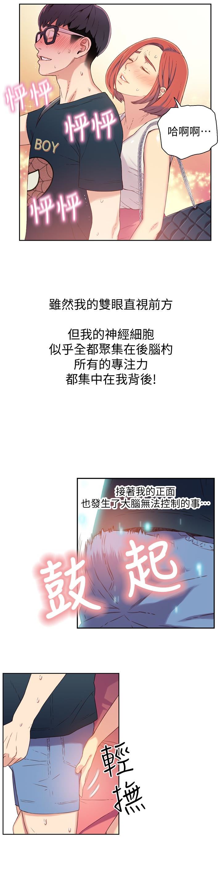 超导体鲁蛇