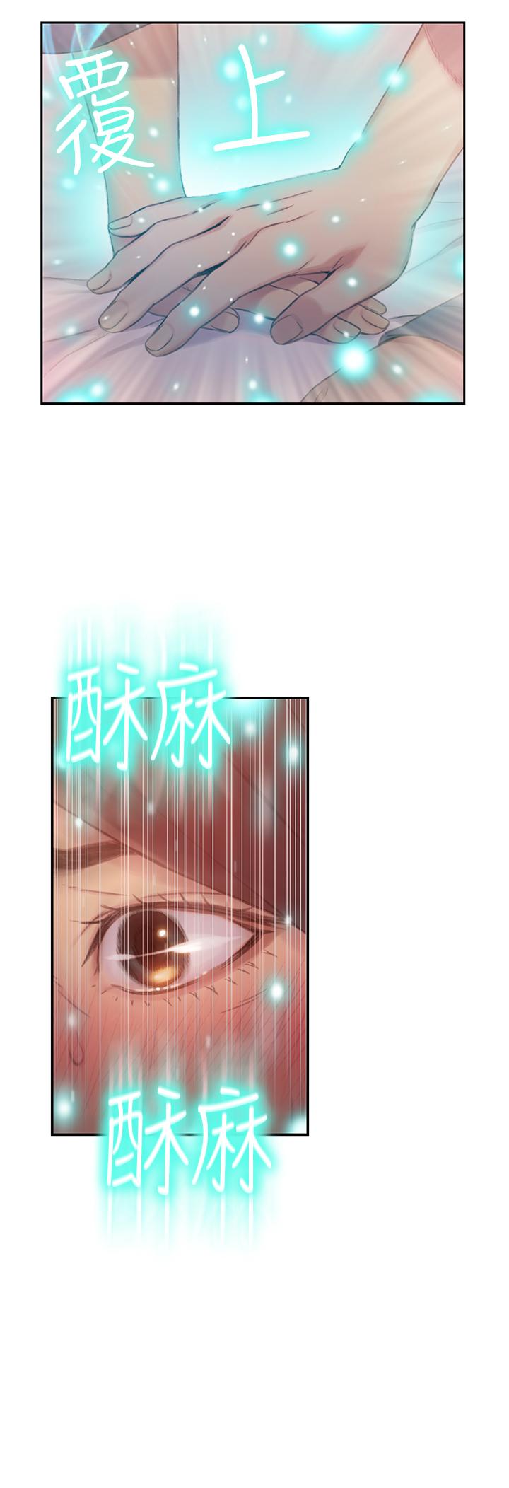 超导体鲁蛇
