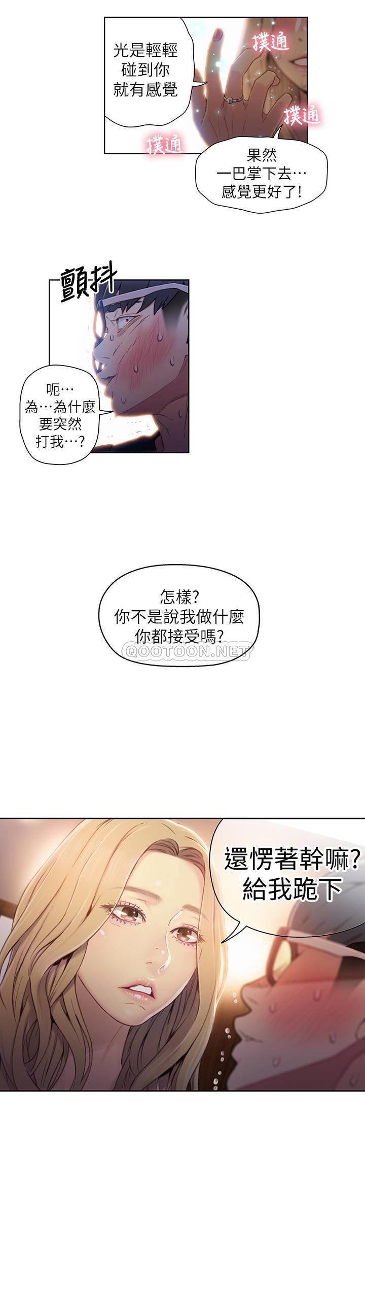 超导体鲁蛇
