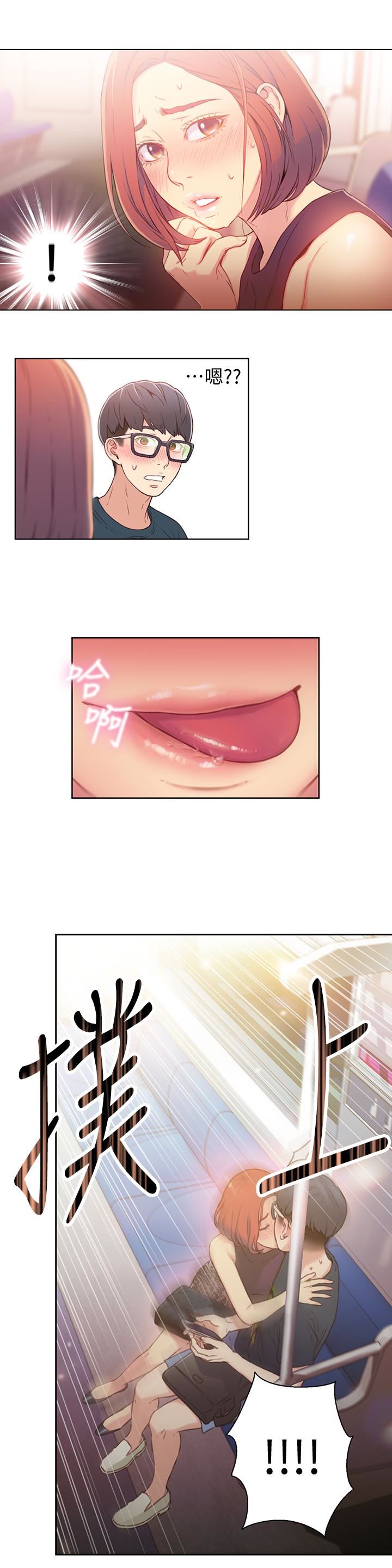 超导体鲁蛇
