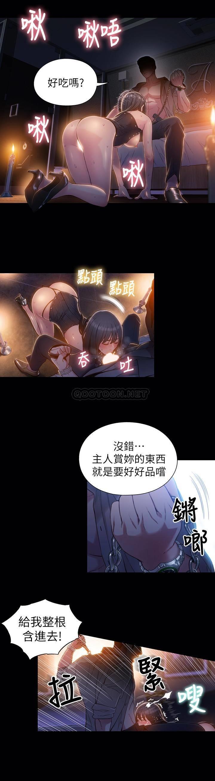 超导体鲁蛇