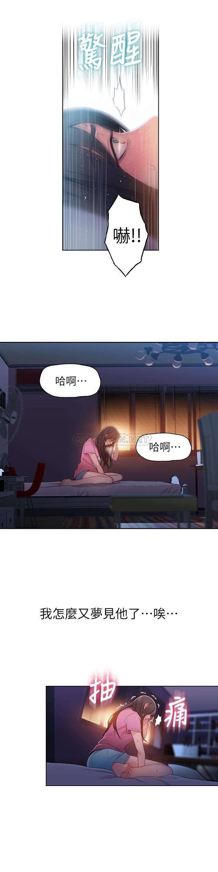 超导体鲁蛇