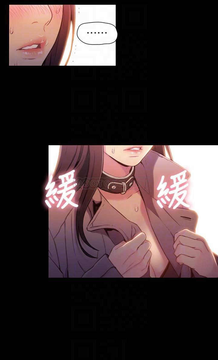 超导体鲁蛇