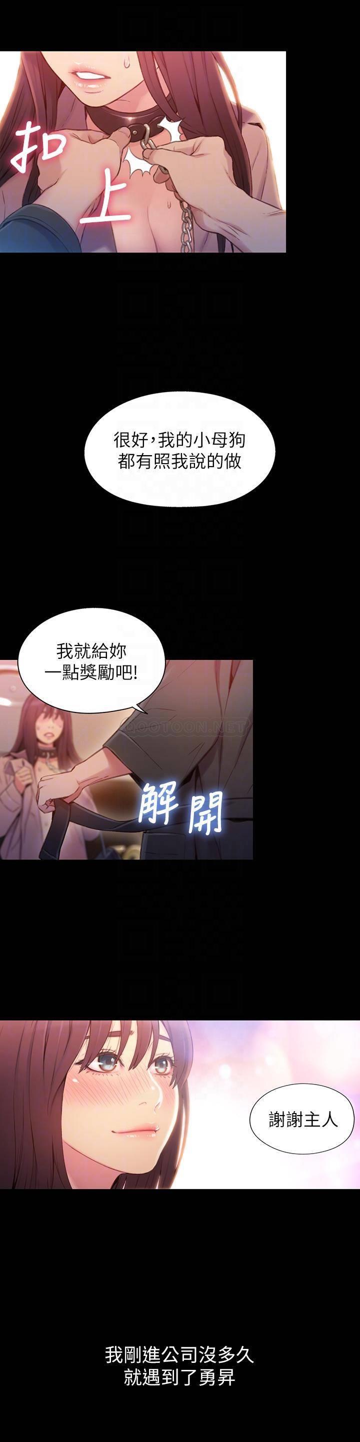 超导体鲁蛇