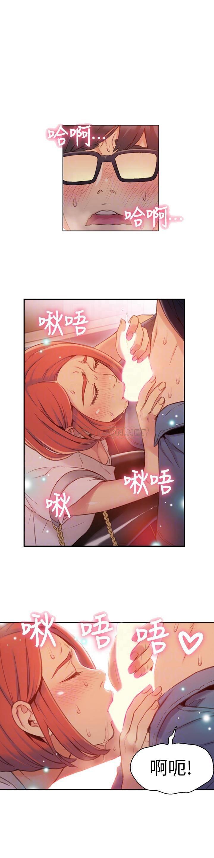超导体鲁蛇