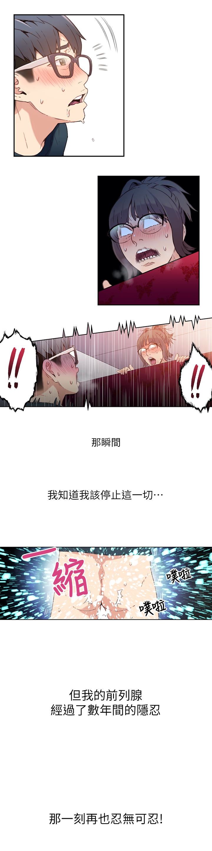 超导体鲁蛇