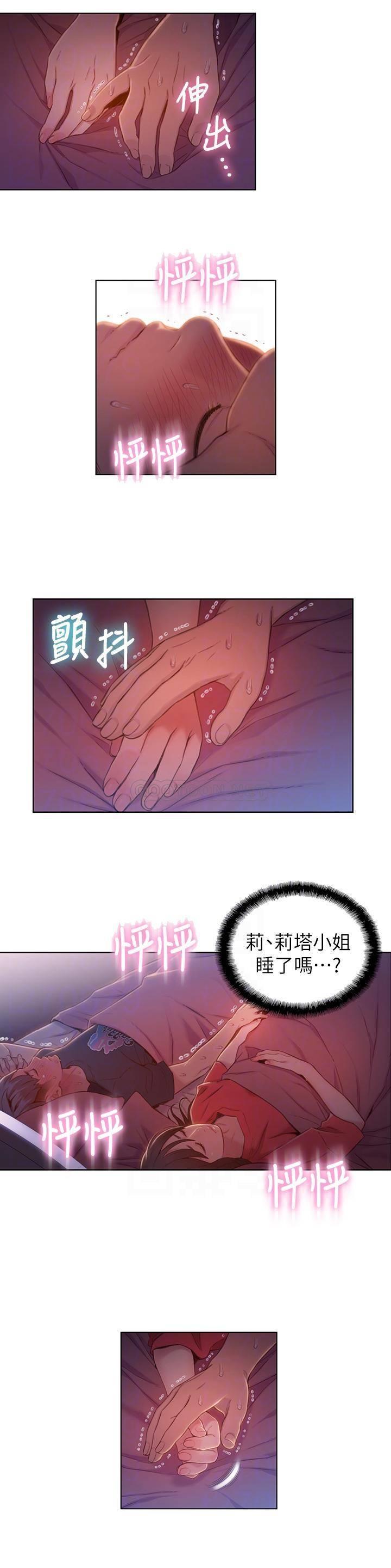 超导体鲁蛇