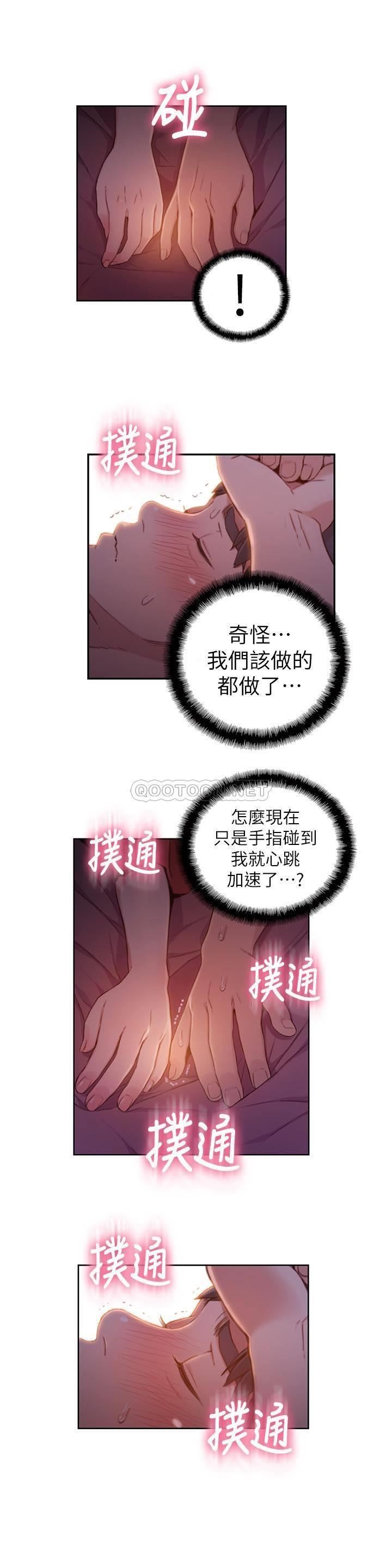超导体鲁蛇
