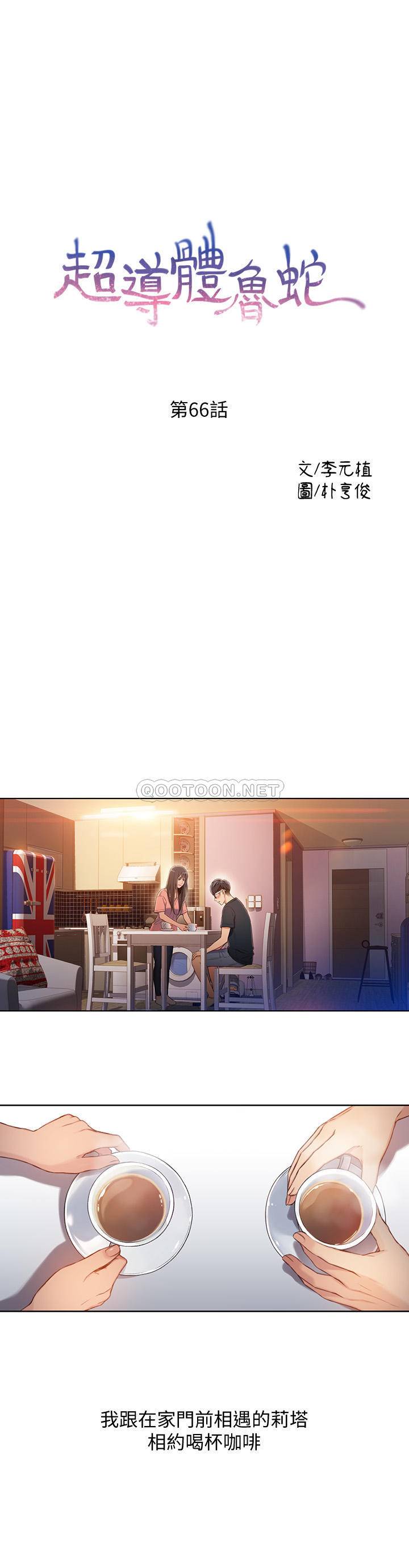 超导体鲁蛇